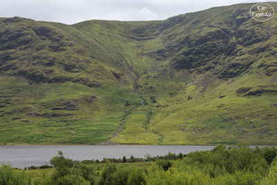 20250622-007-IRL2025-Connemara-TirTomas.jpg