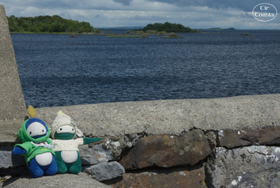 20250622-011-IRL2025-Connemara-TirTomas.jpg