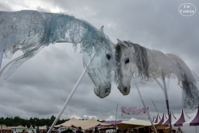 20250731-004-Windhorses-TirTomas.jpg