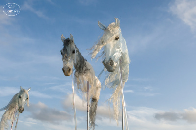 20250731-008-Windhorses-TirTomas.jpg
