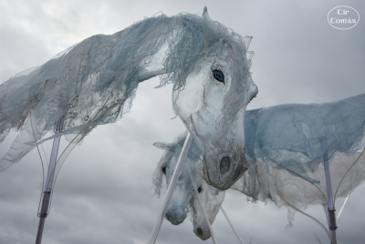20250731-005-Windhorses-TirTomas.jpg