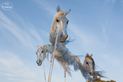20250731-011-Windhorses-TirTomas.jpg