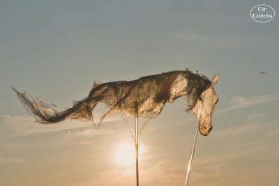 Windhorses