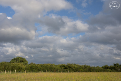 20250622-003-IRL2025-Burren Nature Sanctuary-TirTomas.jpg