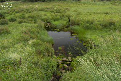 20250623-002-IRL2025-Disappearing Lake-TirTomas.jpg