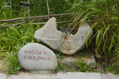 20250623-004-IRL2025-Burren Nature Sanctuary-TirTomas.jpg