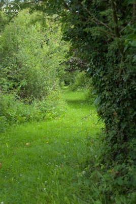 20250623-006-IRL2025-Burren Nature Sanctuary-TirTomas.jpg