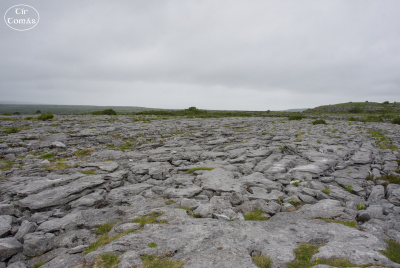 20250623-006-IRL2025-Poulnabrone Dolmen-TirTomas.jpg