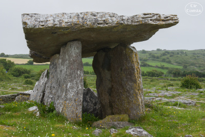 20250623-003-IRL2025-Poulnabrone Dolmen-TirTomas.jpg