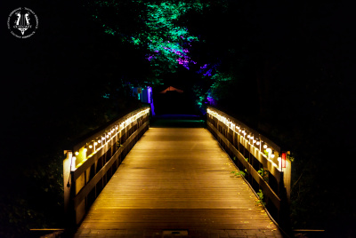 20250815-007-Impressions+Market-TR.jpg