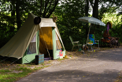 20250816-012-Impressions+Market-TR.jpg