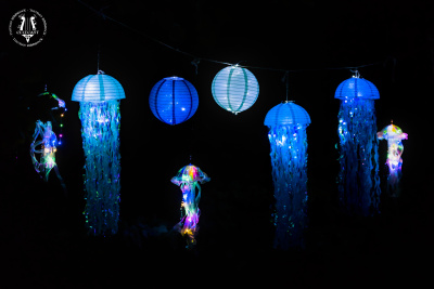 20250816-032-Impressions+Market-TR.jpg