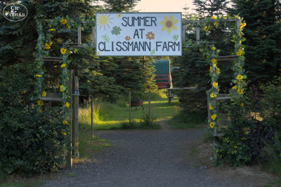 20250702-004-IRL2025-Clissmann Horse Caravans-TirTomas.jpg