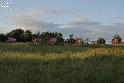 20250702-003-IRL2025-Clissmann Horse Caravans-TirTomas.jpg