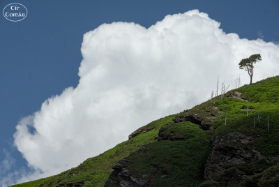 20250702-002-IRL2025-Glendalough-TirTomas.jpg