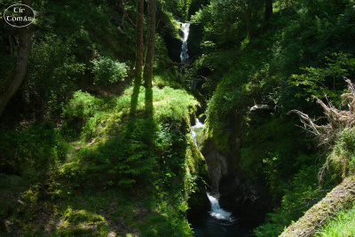 20250702-003-IRL2025-Glendalough-TirTomas.jpg