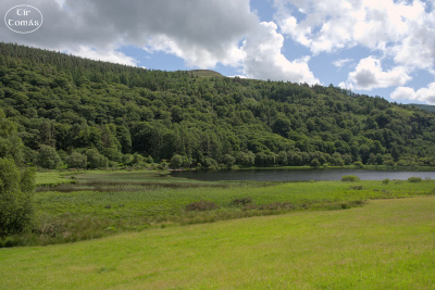 20250702-009-IRL2025-Glendalough-TirTomas.jpg