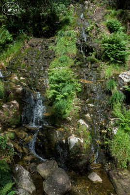 20250702-002-IRL2025-Glenmalure-TirTomas.jpg