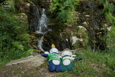 20250702-003-IRL2025-Glenmalure-TirTomas.jpg