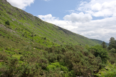 20250703-003-IRL2025-Glenmalure-TirTomas.jpg