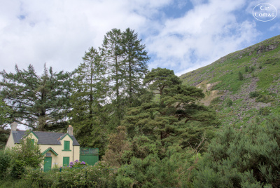 20250703-004-IRL2025-Glenmalure-TirTomas.jpg