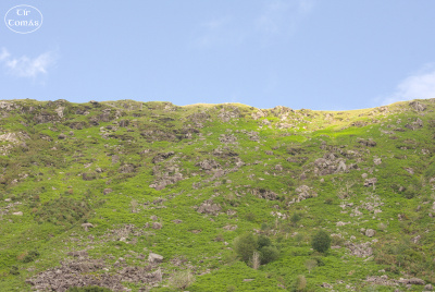 20250703-008-IRL2025-Glenmalure-TirTomas.jpg