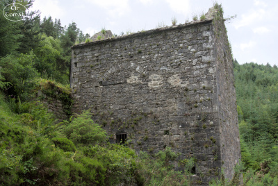 20250703-001-IRL2025-Glenmalure-TirTomas.jpg