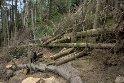 20250617-006-IRL2025-Queen Maeve Trail-TirTomas.jpg