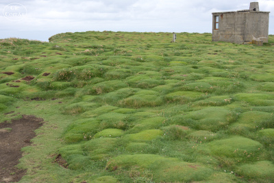 20250618-002-Downpatrick Head-TirTomas.jpg