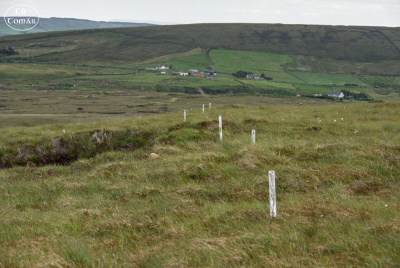 20250618-004-Céide Fields-TirTomas.jpg