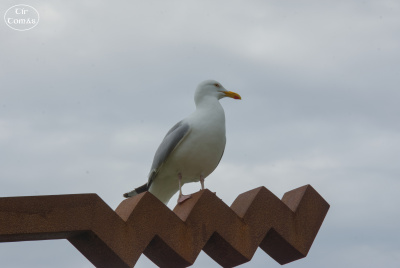 20250619-012-Achill-TirTomas.jpg